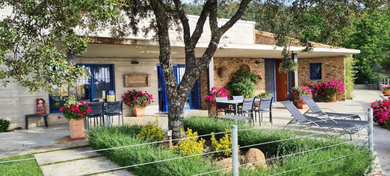 Casa Rural Madre del Agua. Finca El Robledillo Monesterio Exterior foto