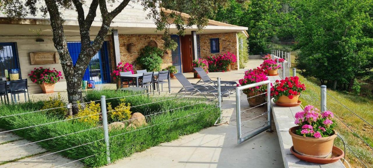 Casa Rural Madre del Agua. Finca El Robledillo Monesterio Exterior foto